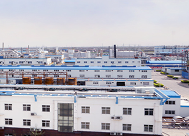 Hebei Chengxin Jiutian Pharmaceutical Chemical Co., Ltd